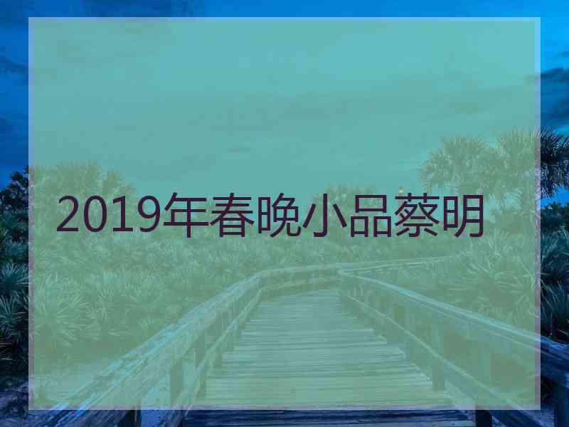 2019年春晚小品蔡明