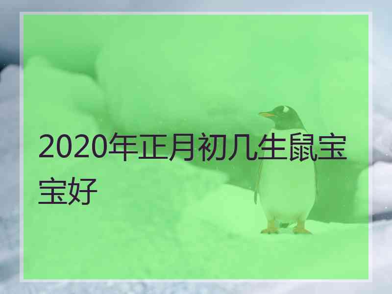 2020年正月初几生鼠宝宝好