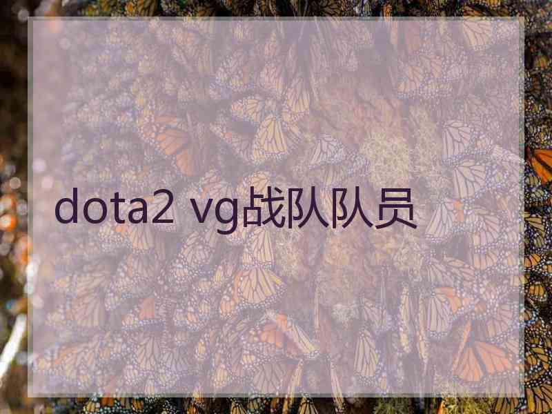 dota2 vg战队队员