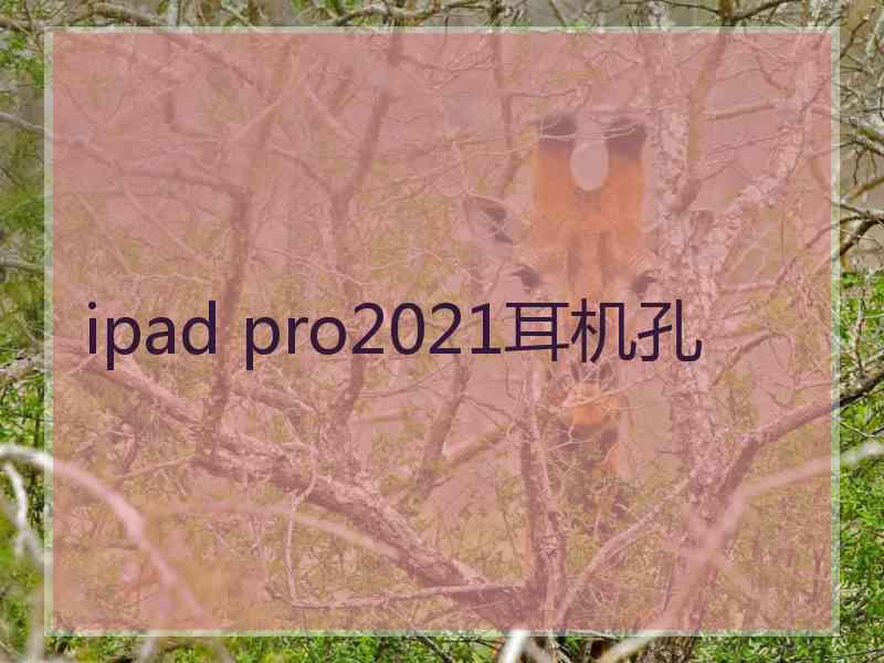 ipad pro2021耳机孔