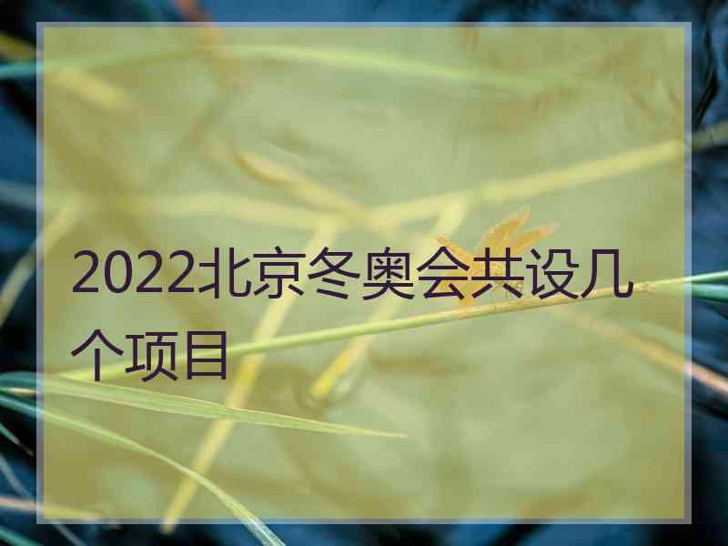 2022北京冬奥会共设几个项目