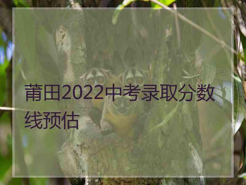 莆田2022中考录取分数线预估