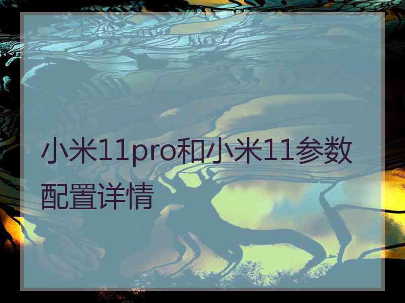 小米11pro和小米11参数配置详情