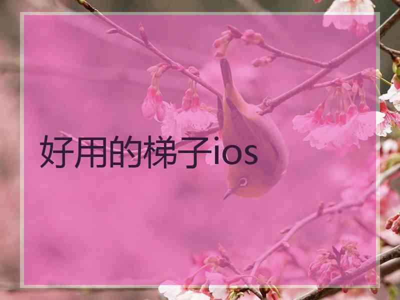 好用的梯子ios