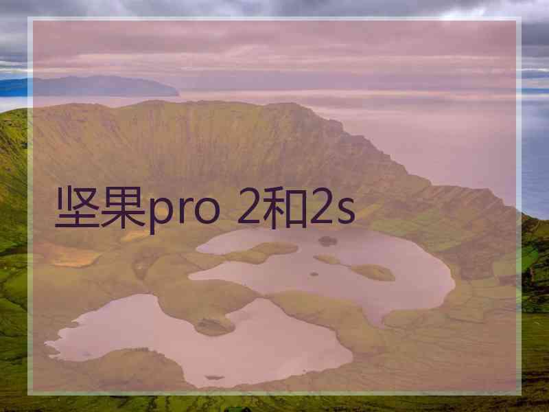 坚果pro 2和2s