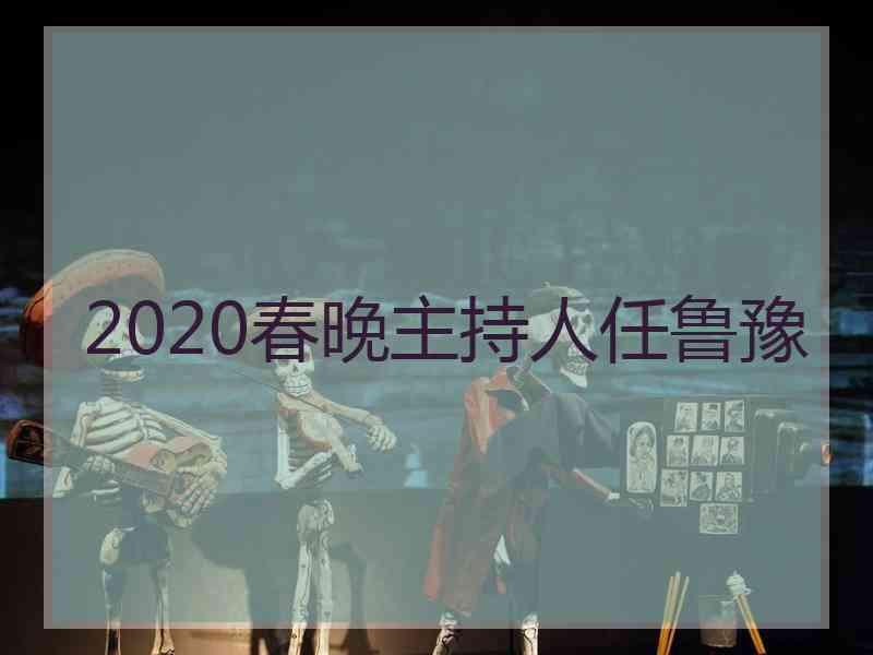 2020春晚主持人任鲁豫