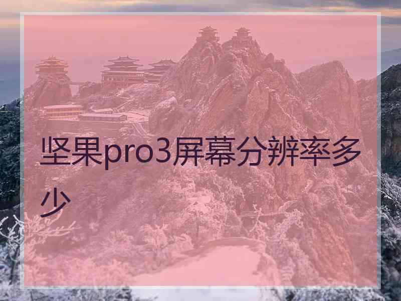 坚果pro3屏幕分辨率多少