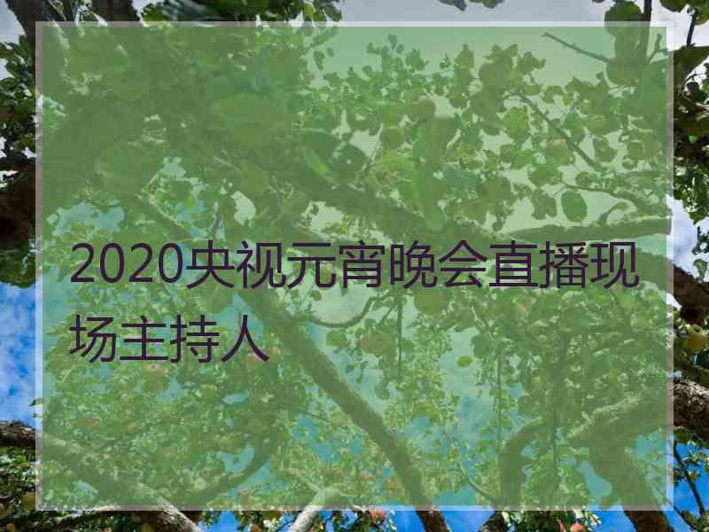 2020央视元宵晚会直播现场主持人