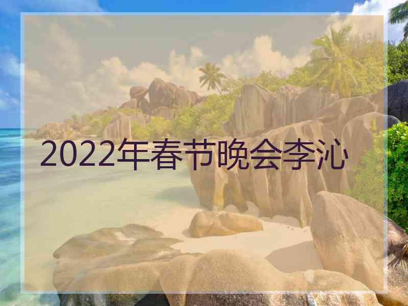 2022年春节晚会李沁