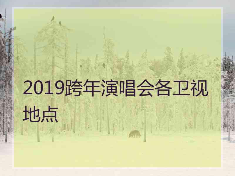 2019跨年演唱会各卫视地点