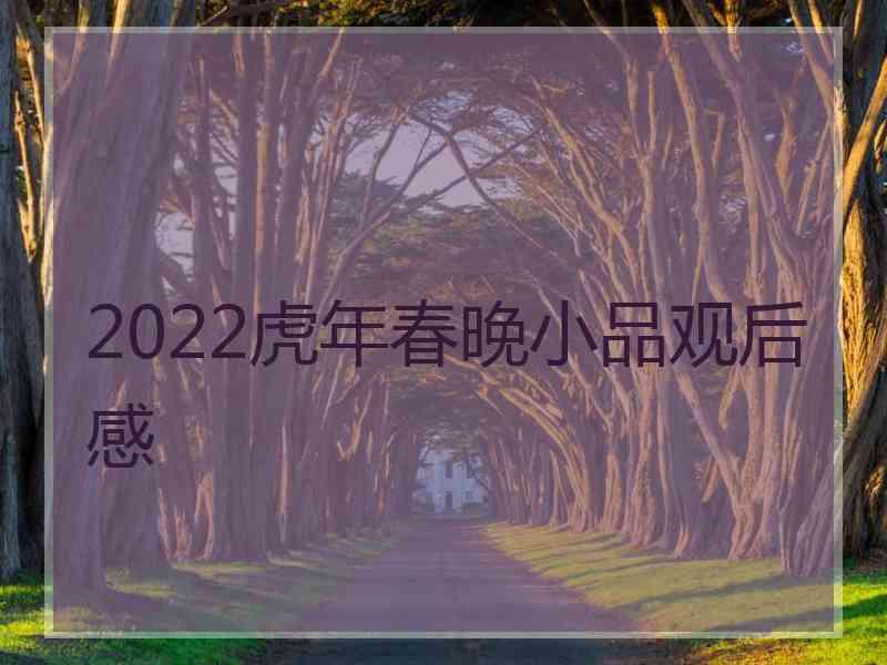 2022虎年春晚小品观后感