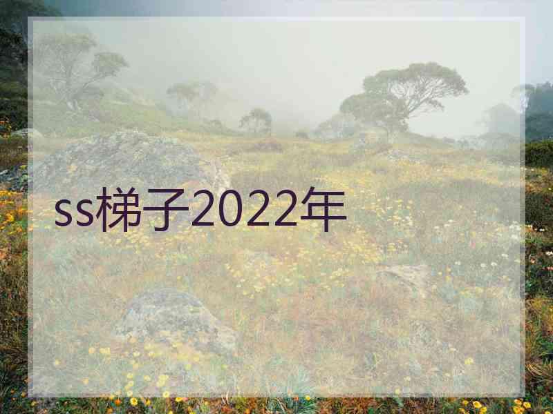 ss梯子2022年