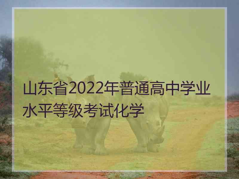 山东省2022年普通高中学业水平等级考试化学