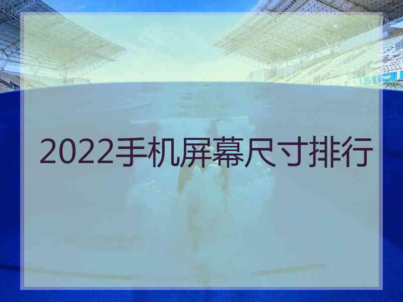 2022手机屏幕尺寸排行