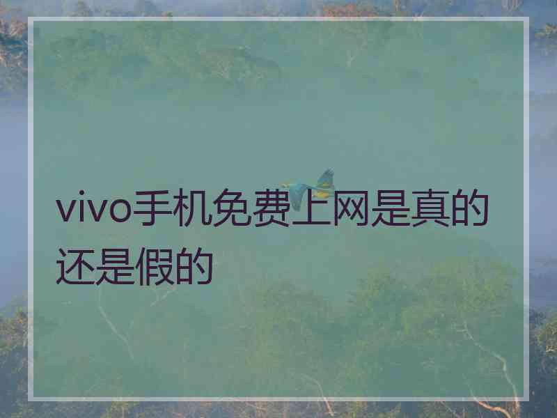 vivo手机免费上网是真的还是假的