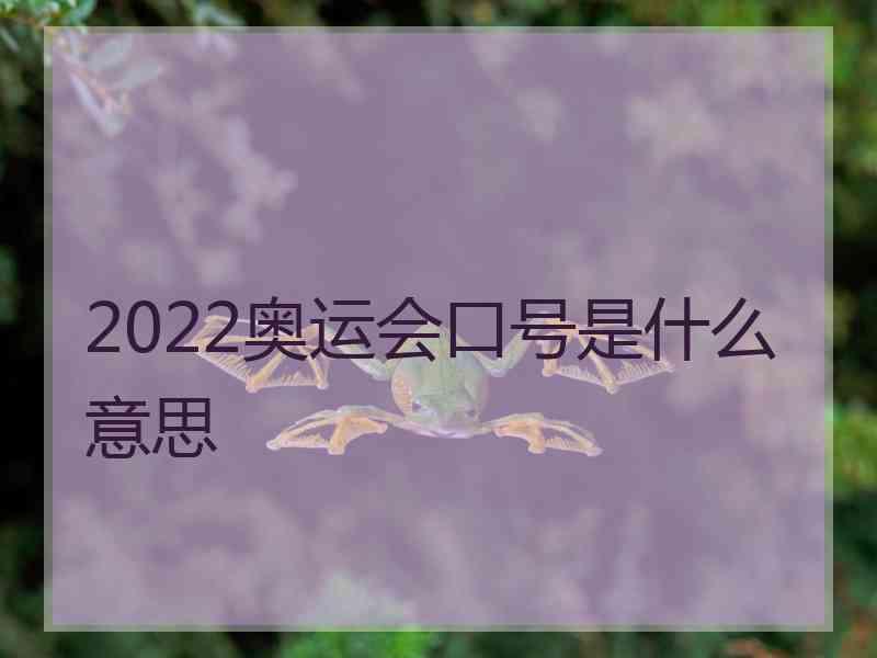 2022奥运会口号是什么意思