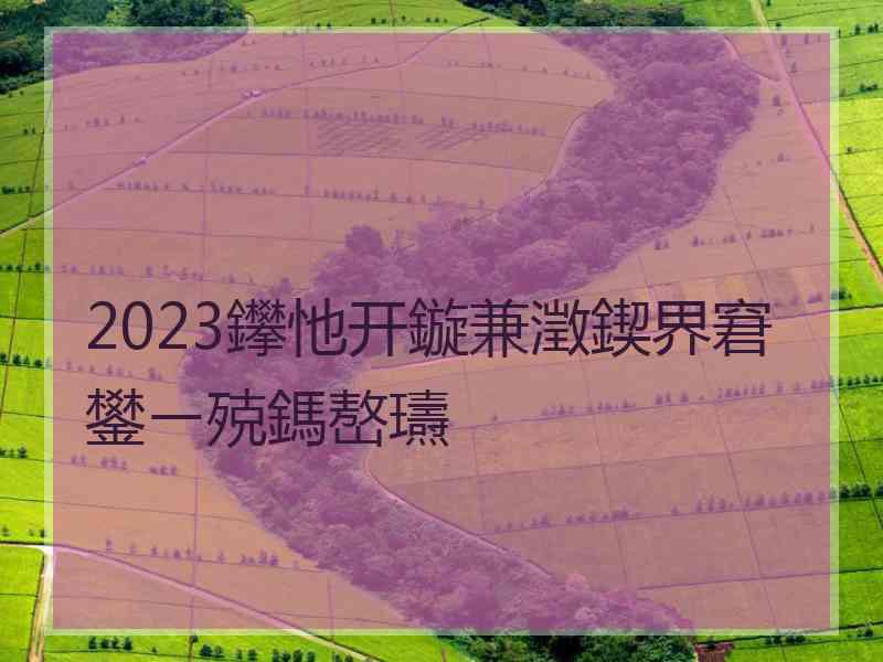 2023鑻忚开鏇兼澂鍥界窘鐢ㄧ殑鎷嶅瓙