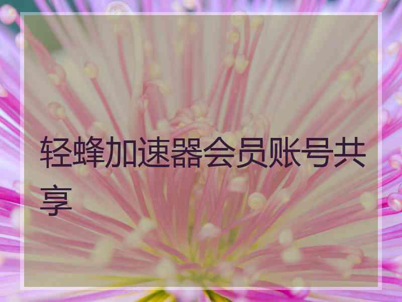 轻蜂加速器会员账号共享