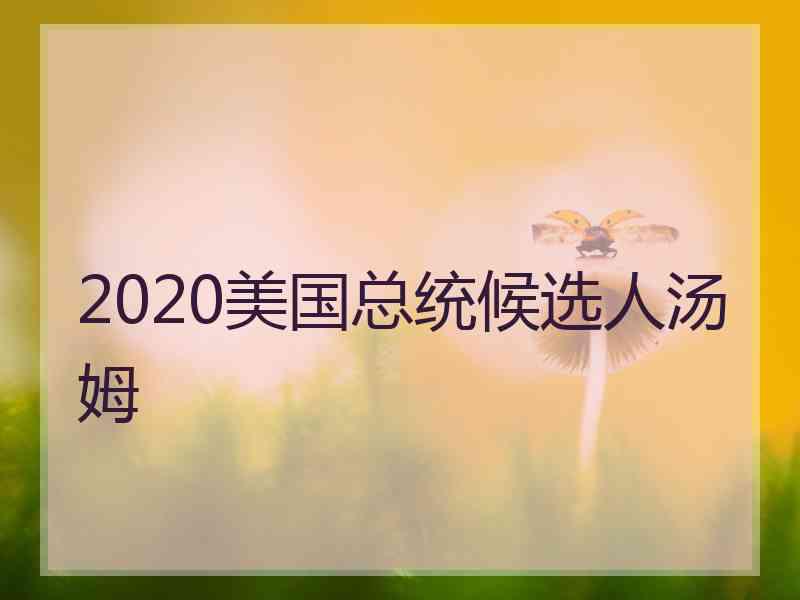 2020美国总统候选人汤姆