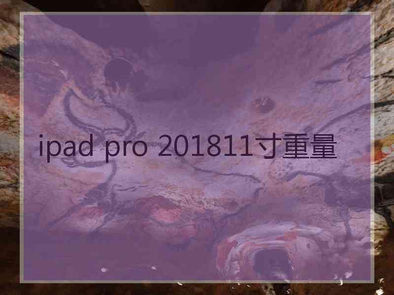 ipad pro 201811寸重量