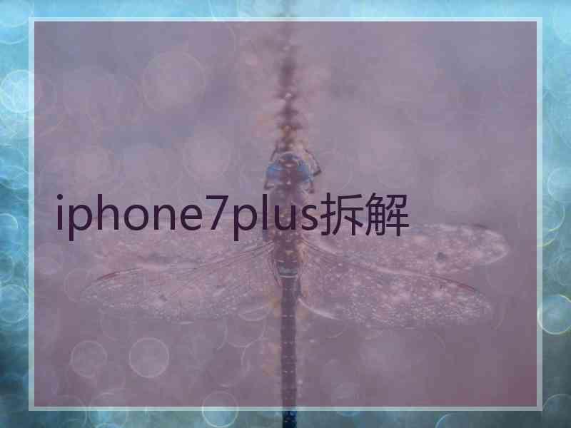 iphone7plus拆解