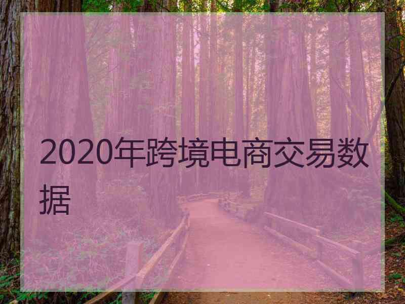 2020年跨境电商交易数据