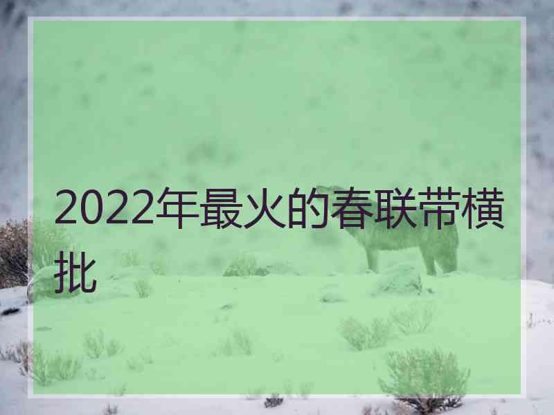 2022年最火的春联带横批