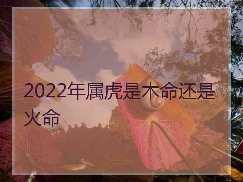 2022年属虎是木命还是火命