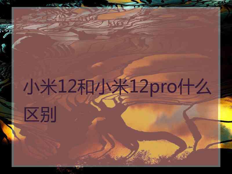 小米12和小米12pro什么区别