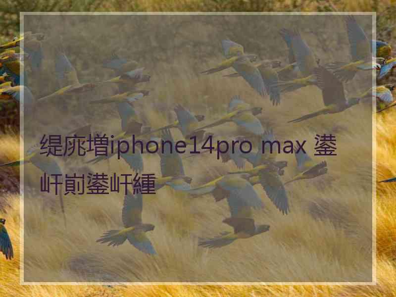 缇庣増iphone14pro max 鍙屽崱鍙屽緟