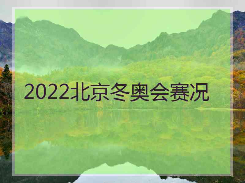 2022北京冬奥会赛况