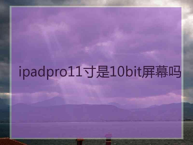 ipadpro11寸是10bit屏幕吗