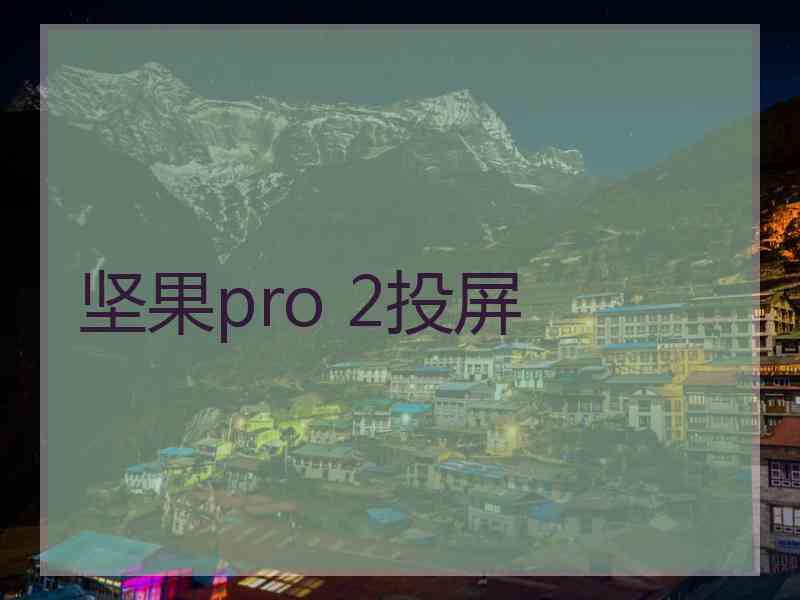 坚果pro 2投屏