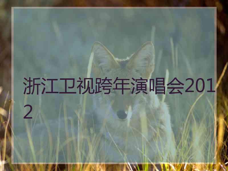 浙江卫视跨年演唱会2012