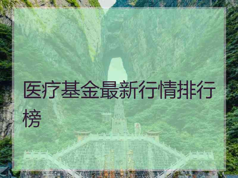 医疗基金最新行情排行榜