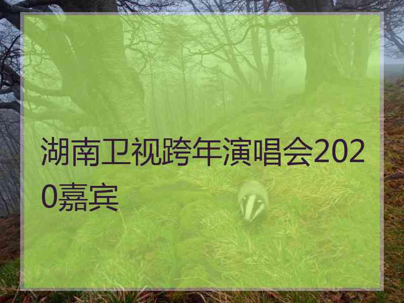 湖南卫视跨年演唱会2020嘉宾