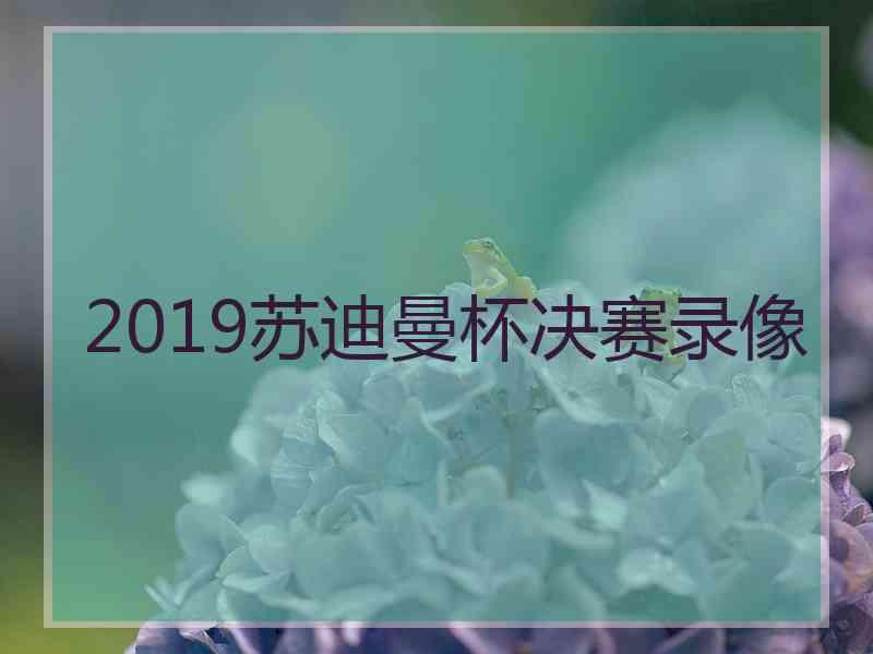 2019苏迪曼杯决赛录像