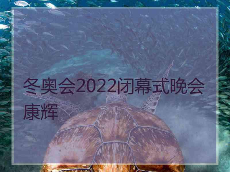 冬奥会2022闭幕式晚会康辉