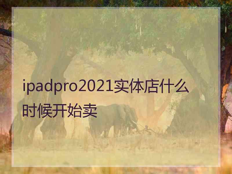 ipadpro2021实体店什么时候开始卖