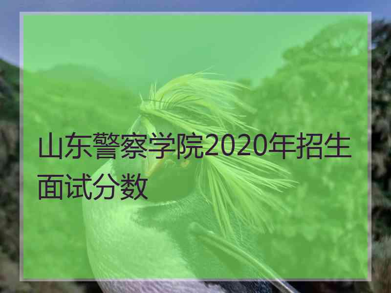 山东警察学院2020年招生面试分数