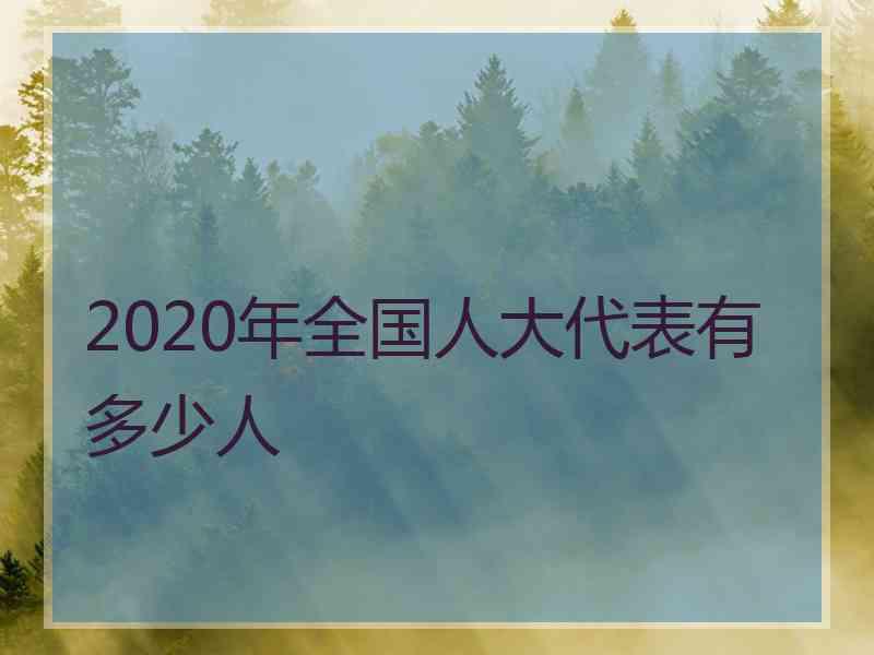 2020年全国人大代表有多少人