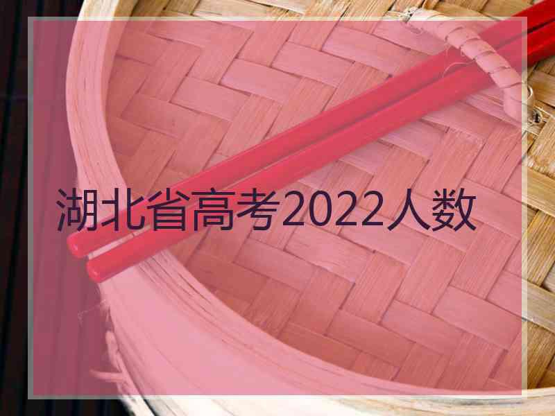 湖北省高考2022人数