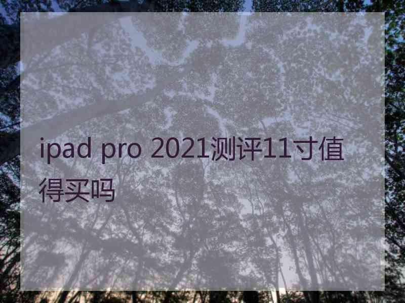 ipad pro 2021测评11寸值得买吗