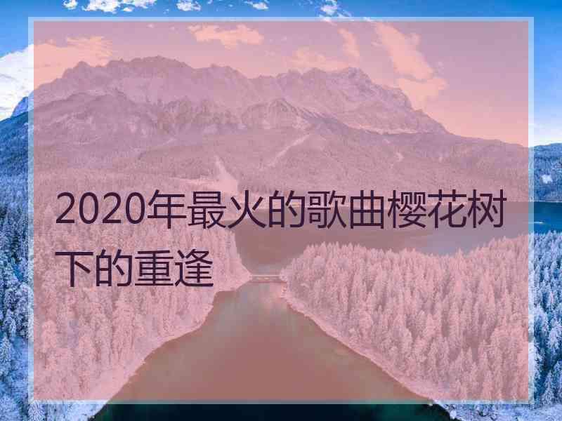 2020年最火的歌曲樱花树下的重逢