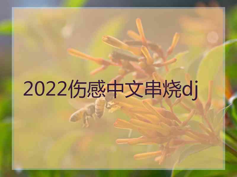 2022伤感中文串烧dj