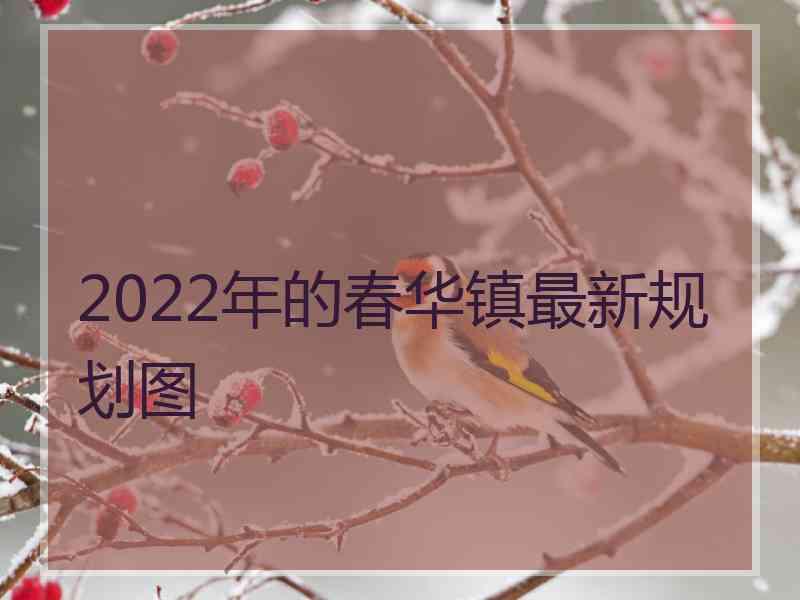 2022年的春华镇最新规划图