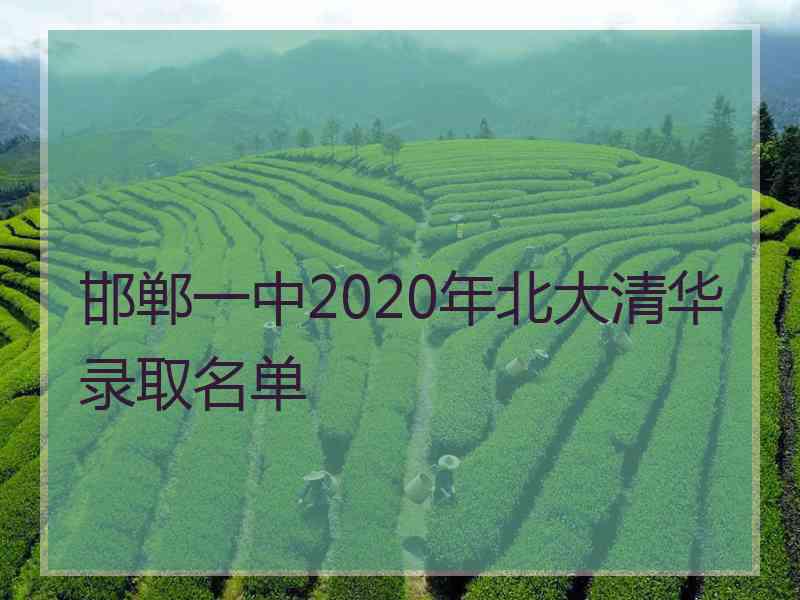 邯郸一中2020年北大清华录取名单