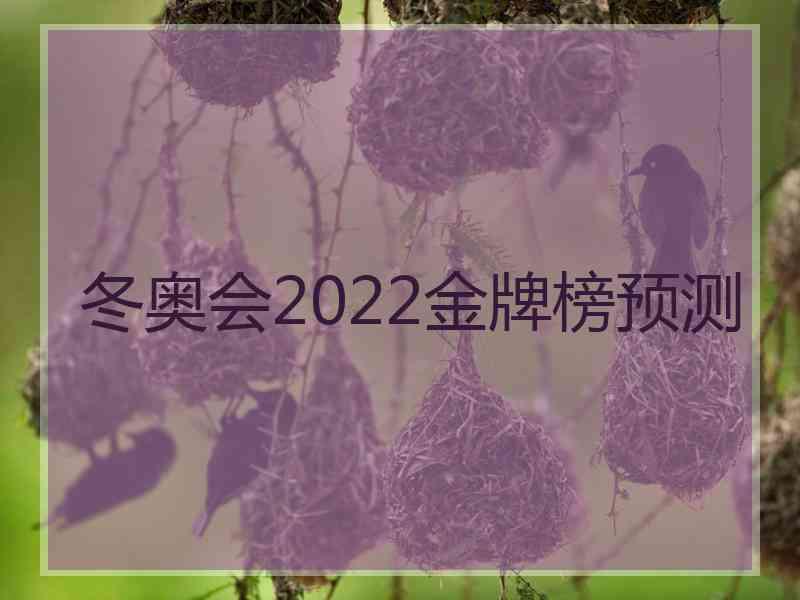 冬奥会2022金牌榜预测