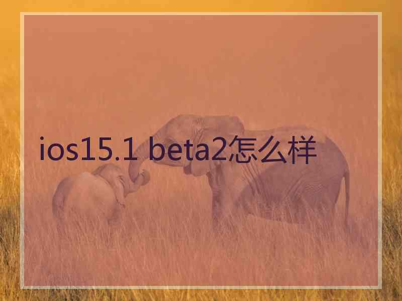 ios15.1 beta2怎么样