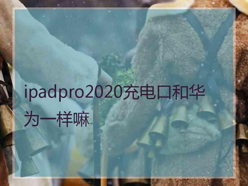 ipadpro2020充电口和华为一样嘛